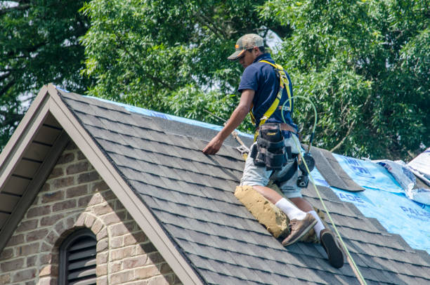 Best Metal Roofing Contractor  in Lake Waccamaw, NC